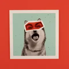 Foto auf Hartschaumplatte: Dein Stil, deine Wahl! Lasse deine Bilder auf Forex-Platten in verschiedenen Formaten drucken und personalisiere deine Gestaltung.