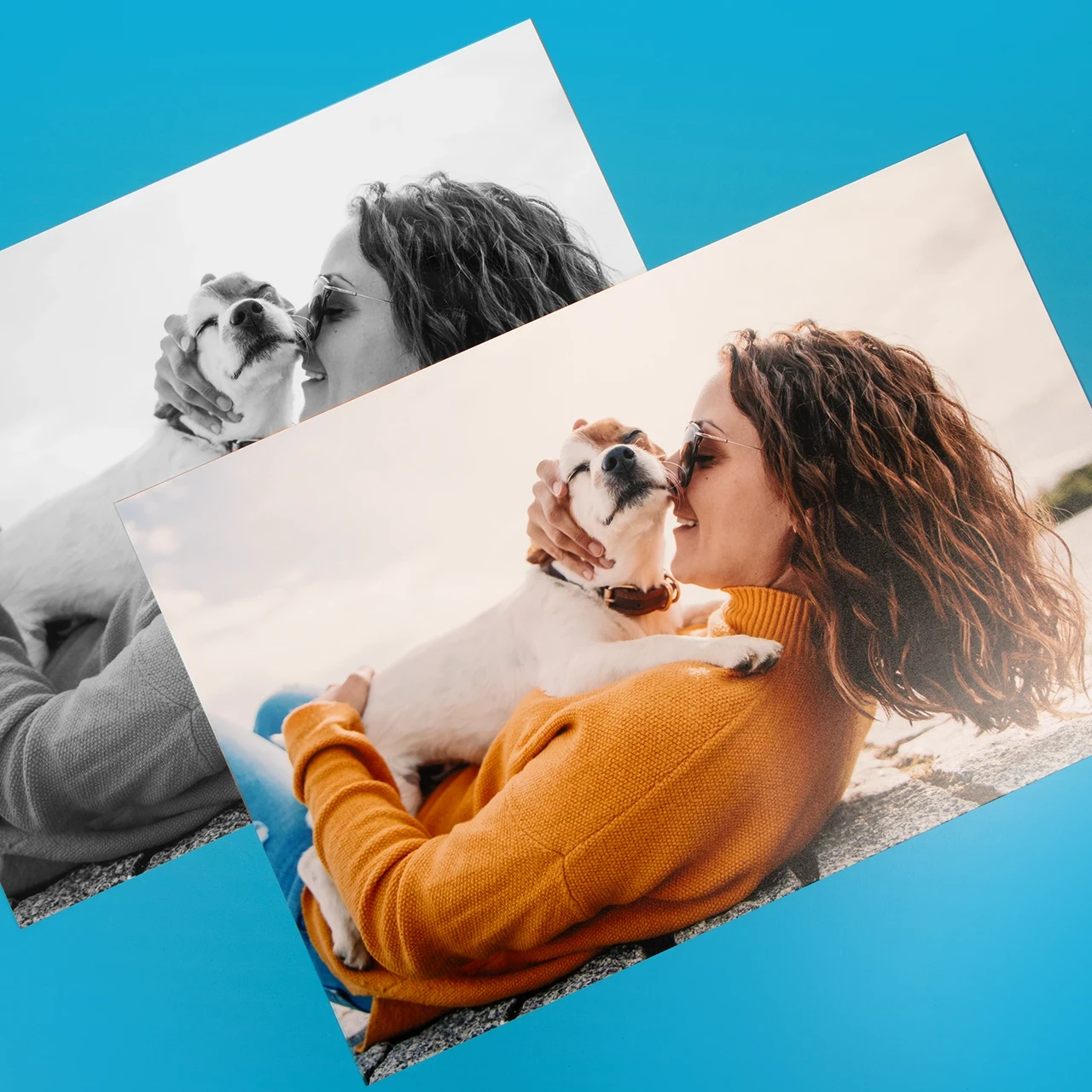 Zwei Fotocollage Poster mit demselben Motiv einer Frau mit Hund – einmal in Farbe und einmal in Schwarzweiß – zum Vergleich verschiedener Druckvarianten