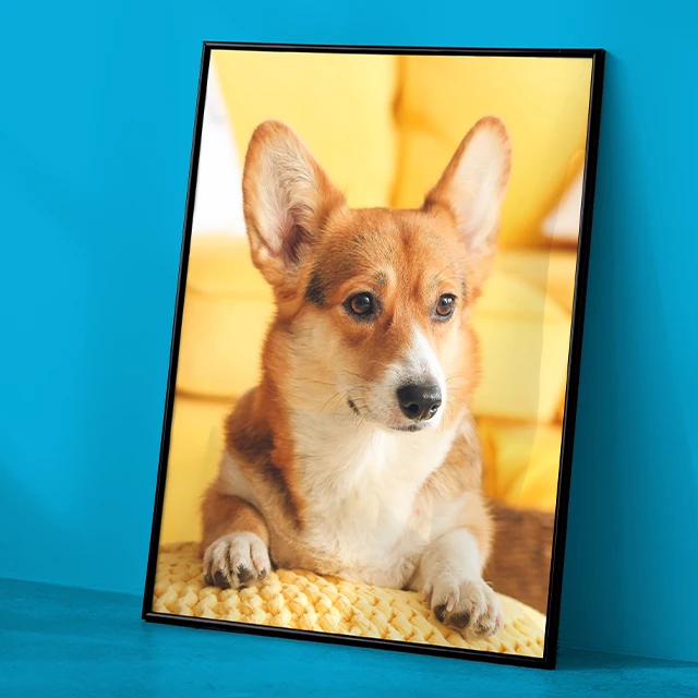 Gerahmtes Fotocollage Poster mit Hundefoto als dekoratives Wandbild vor blauem Hintergrund