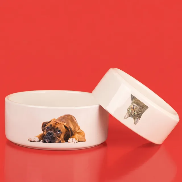 Jetzt Hundenapf mit Foto aus Keramik bei ORWO bestellen. Je nach Größe deines Vierbeiners bieten wir unterschiedlich große Näpfe an, natürlich auch für Katzen.