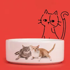 Der Futternapf mit Foto ist, besonders in der kleineren Variante, auch für Katzen geeignet, solange diese mit ihren Schnurhaaren nicht zu empfindlich sind.