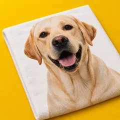 Zusammengelegtes Foto-Handtuch mit dem Foto eines hellen Labradors vor gelbem Hintergrund, zeigt die kuschelige, weiche Oberfläche des Stoffs. Überzeug dich selbst von der Qualität.