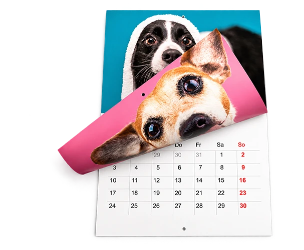 Persönlicher Terminkalender mit Fotos als praktischer Alltagshelfer