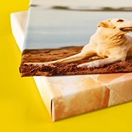 Fotoleinwand mit zwei unterschiedlichen Rahmenstärken im Detail. Druckmotiv: Hund am Strand. Perfekt gespannt und hochwertig verarbeitet für langlebige Erinnerungen.