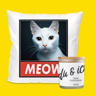 Stilvolle Home & Deko Produkte: Bedrucktes Kissen "MEOW" mit Foto einer weißen Katze sowie Duftkerze im Glas. Schaffen eine gemütliche Atmosphäre mit individuellem Touch.