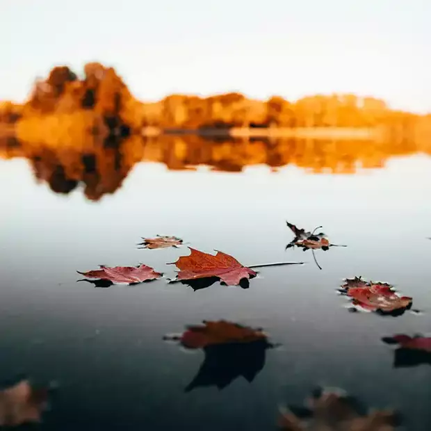 Herbstfotografie für Spiegelungen bunter Landschaften Reflexionen im Wasser einer bunten Landschaft ergeben tolle Herbstbilder.