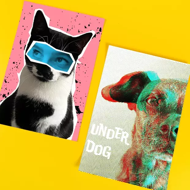 Poster vom eigenem Foto: Sei kreativ und spiele mit deinen Motiven Kreative Ideen rund um die Haustierfotografie für dein Poster vom eigenen Foto. Mach mehr aus deinen Fotos – Mach ORWO.