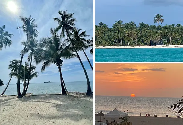 Collage mit Palmenstrand, tropischer Insel und Sonnenuntergang am Meer. Entdecke Tipps für schöne Strandfotos bei ORWO