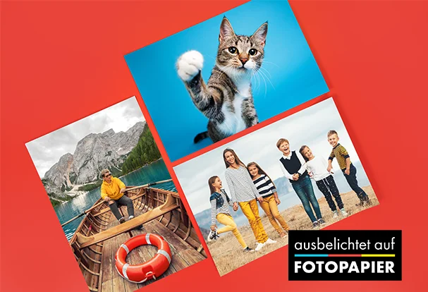 Ein Bild auf einem Fotoposter. ORWO Produktneuheit im Poster-Editor. Katze, Kinder, Mann im Ruderboot: Wir belichten alle deine Bilder auf Fotopapier.