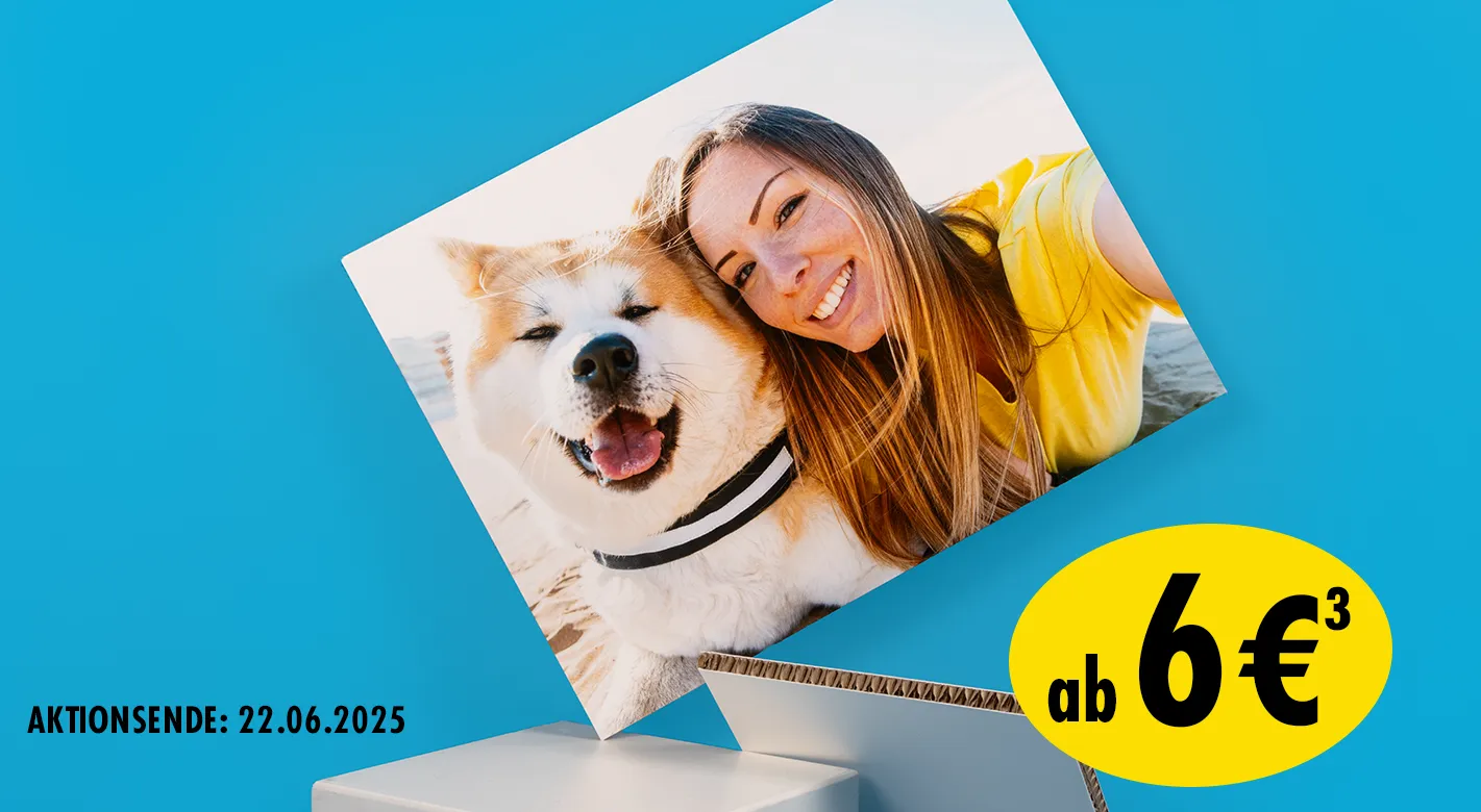 Fotoprodukte aus Karton - Das Wandbild aus Karton zeigt eine junge Frau mit Hund. Daneben ist die Rückseite im Seitenprofil zu sehen. Gut zu erkennen ist die stabile Wabenstruktur.