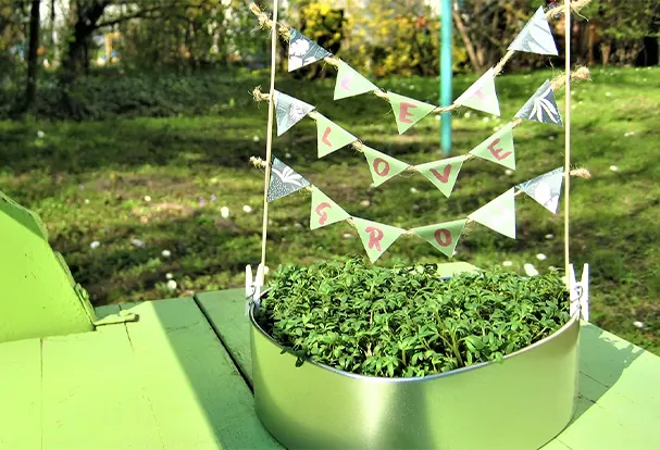 Upcycling-Idee: Eine herzförmige Fotodose wird als Kresseschale im Garten genutzt. Die junge Kresse sprießt aus der Dose und bringt frisches Grün in den Außenbereich.