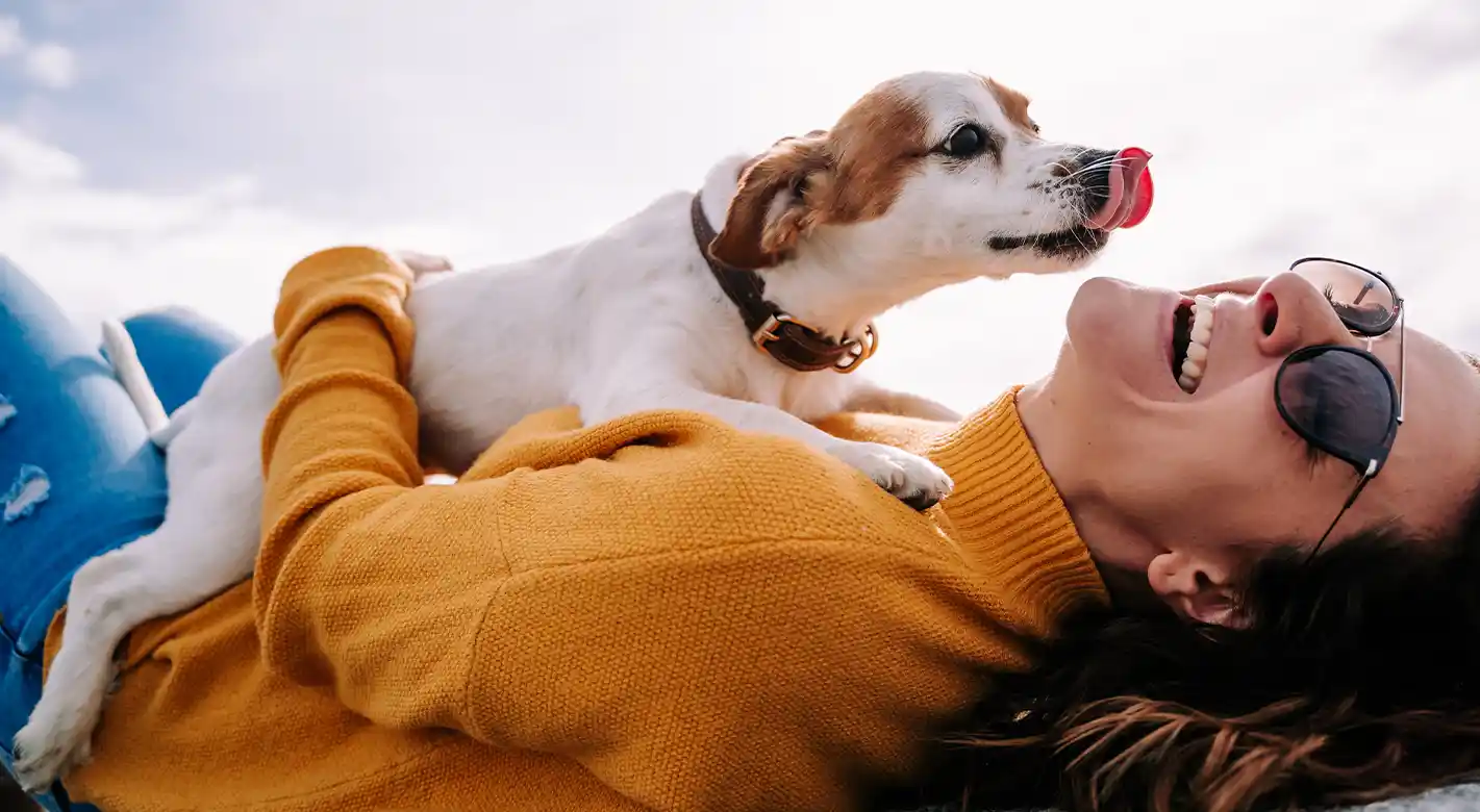 Eine lachende Frau liegt entspannt auf dem Rücken, während ihr Hund auf ihr sitzt und ihr liebevoll Küsschen geben möchte. Eine perfekte Szene, um natürliche Emotionen und die besondere Verbindung zwischen Mensch und Tier einzufangen.