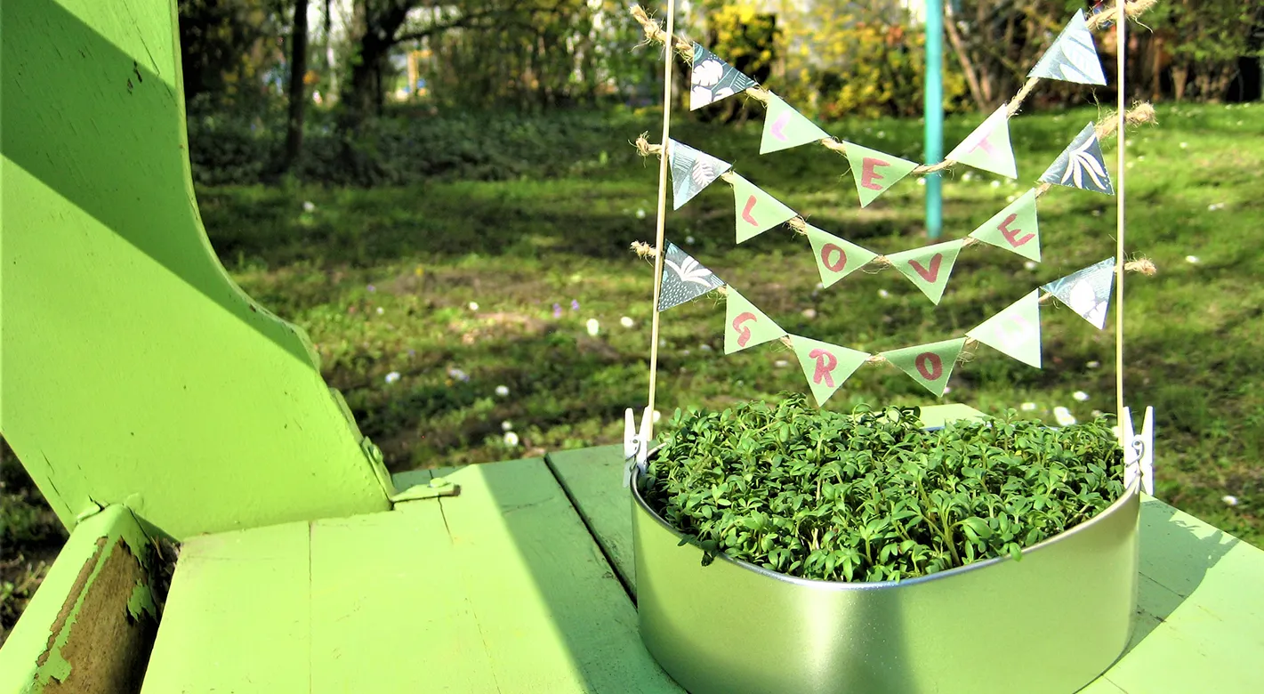 Eine DIY Kresse-Schale bestehend aus der ORWO Fotodose und Kresse Samen. Die fertige Kresse-Schale steht im Sonnenlicht auf einem grünen Untergrund in freier Natur.