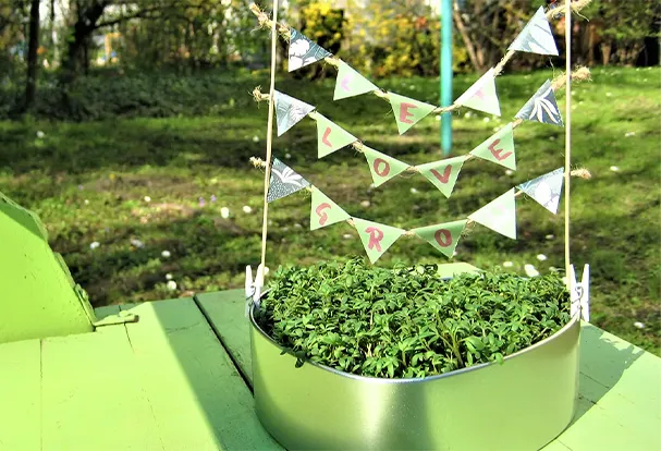 Eine DIY Kresse-Schale bestehend aus der ORWO Fotodose und Kresse Samen. Die fertige Kresse-Schale steht im Sonnenlicht auf einem grünen Untergrund in freier Natur.