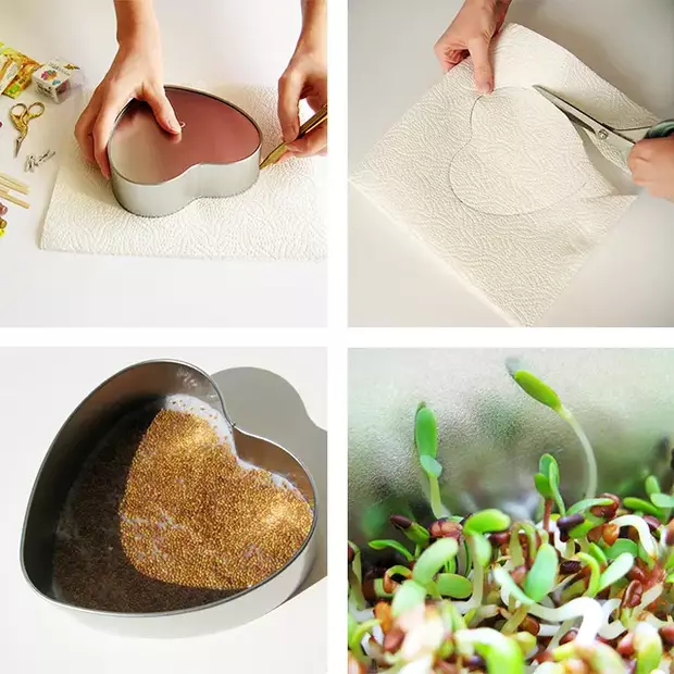 Eine Anleitung auf vier Bildern, wie man dank Krepppapier und Kresse Samen, seine eigenen Keimlinge in einer Fotodose ziehen kann.