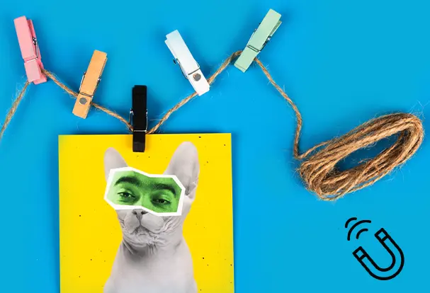 Produktneuheit 2025: Pixolo Magnet-Clips. Trendige Fotoaufhängung und praktische Lösung für deine Fotos!