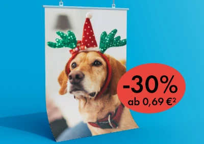 ORWO Poster mit Hund im Weihnachtskostüm – personalisierbares Fotoprodukt mit 30% Rabatt