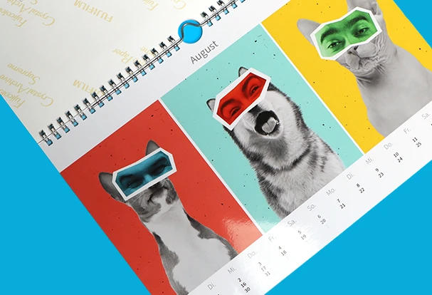Echtfoto-Kalender – Fuji Fotopapier für brillante Farben Tierische August-Motive in lebendigen Farben, kombiniert mit grafischen Stilelementen. Querformat mit Ringbindung. Kalendarium am unteren Rand.