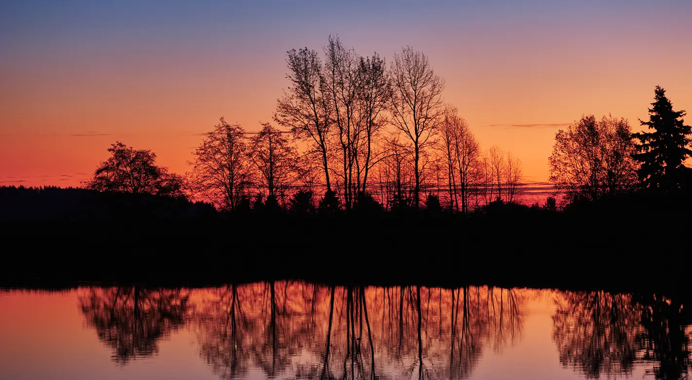 Blaue Stunde: Mit atemberaubender Spiegelung der Baumreihe. Eine Baumreihe vor einem See, fotografiert zur blauen Stunde, taucht das Foto in ein warmes Orange. Die Bäume und deren Spiegelung sind tiefschwarz.