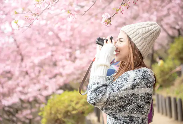 Fotografie-Tipps für bunte Frühlingsfotos Eine junge Frau mit Strickpullover und -mütze, fotografiert die rosa Blüten eines Kirschbaums. Entdecke unsere Fotografie-Tipps für den Frühling!
