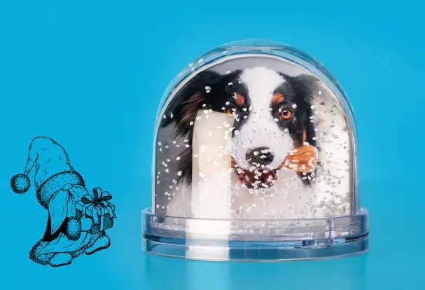 Winterzauber-Schneekugel: Eure schönsten Momente als magisches Geschenk. Zauberhafte Wintermomente in einer personalisierten Schneekugel: Deine schönsten Erinnerungen für festliche Freude.