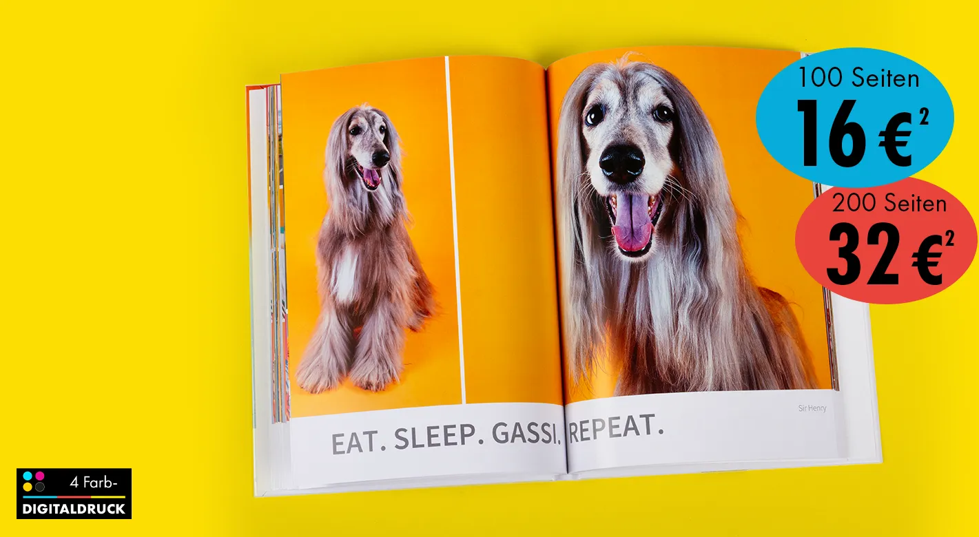 Aufgeschlagenes Fotobuch mit großformatigen Hundefotos auf orangenen Seiten sowie Preisaktionen für verschiedene Seitenzahlen auf gelbem Hintergrund