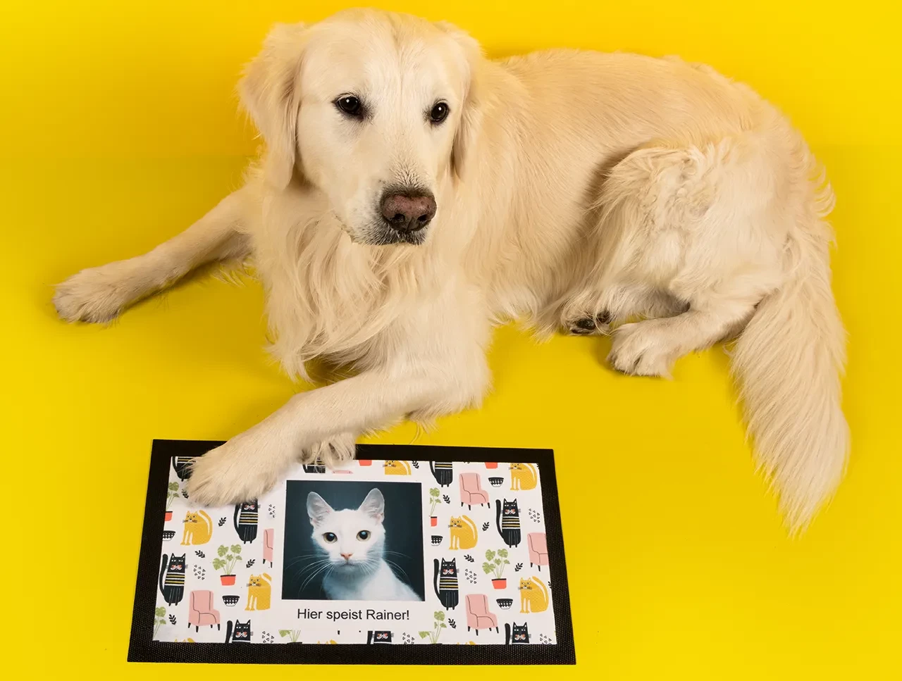 Bürohund Marley präsentiert stolz eine kleine, bedruckte Futtermatte – natürlich mit einem Foto seiner Lieblingskatze Rainer.