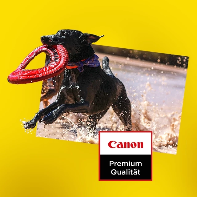 Fotoabzüge online drucken in Canon Premium Qualität Hochwertige Fotoabzüge im Canon-Druckverfahren: Die Ultra HD-Bilder von Canon halten deine Momente so realistisch fest, wie du sie in Erinnerung hast.