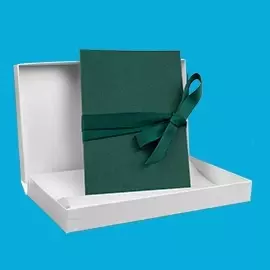 myLeporello in Tannengrün – klassisch & elegant Weiße Geschenkbox mit einem geschlossenen myLeporello in Tannengrün mit farblich abgestimmtem Schleifenband. Vor blauem Hintergrund platziert.