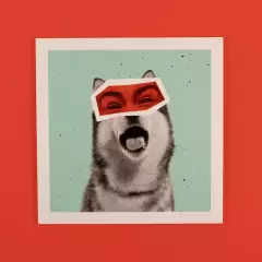 Foto auf Hartschaumplatte: Dein Stil, deine Wahl! Lasse deine Bilder auf Forex-Platten in verschiedenen Formaten drucken und personalisiere deine Gestaltung.