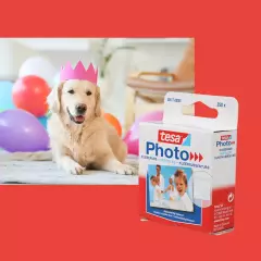 tesa Photo Klebepads mit einem Hundefoto. Hund vor bunten Hintergrund mit Partyhut und Luftballons im Hintergrund.